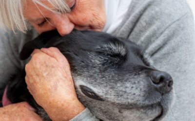 Pets can now be buried with their owners in certain parts of Italy