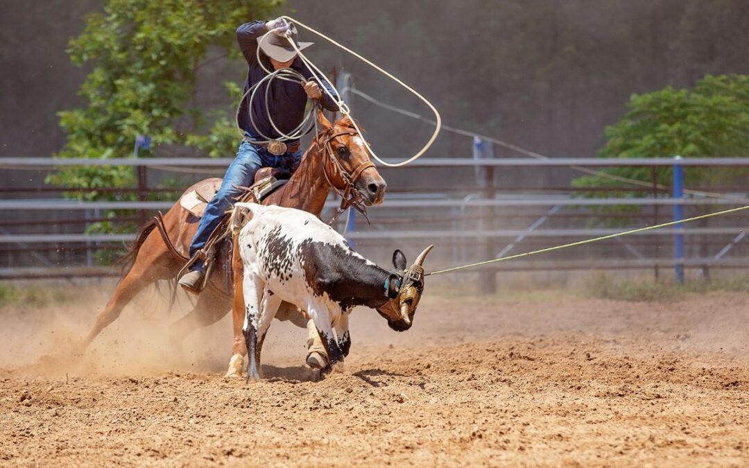 As more countries ban the cruel events of rodeos, others refuse