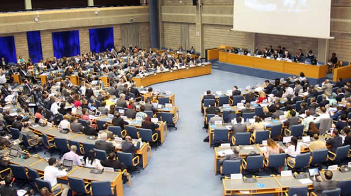 Pioneering and Historic Resolution for Animal Welfare at UNEA